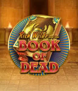 Enter the thrilling world of Book of Dead Slot by Play'n GO, featuring vivid graphics of Rich Wilde’s adventurous journey through ancient Egyptian tombs and artifacts. Discover lost riches with engaging mechanics like free spins, expanding icons, and a gamble option. Ideal for those seeking adventure with a desire for exciting finds.